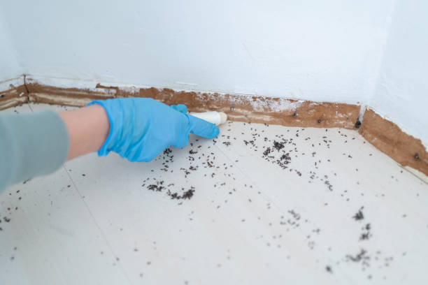 Best Pest Exclusion Services  in Jones Creek, TX